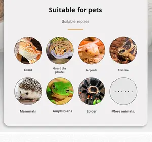 Sürüngenler ve amfibiler için şeffaf cam yuvarlak masaüstü yetiştirme kutusu Geckos ve kertenkele kaplumbağalar için çevre dostu ve evcil hayvan dostu - Product Image 5