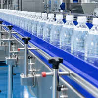 Machine de remplissage d'eau industrielle compatible avec plusieurs bouteilles, machine de rinçage, de remplissage et de bouchage 3 en 1 pour la production d'eau minérale