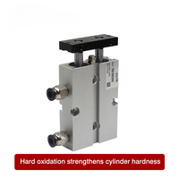 Cylindre pneumatique à double effet à deux tiges de type Airtac, avec aimant, TN10XS 16X20S X30S 32X40S X50S X60S, OEM, 3 ans de garantie, livraison gratuite