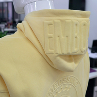 Sudadera con Capucha de Invierno Unisex de Alta Calidad con Botones en Relieve 3D, Cuello Alto con Cremallera, Hombros Caídos, Estampado DTG Personalizado y Bordado Puff
