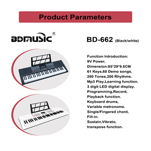 BD MUSIC BD-662 Pianoforte Digitale Portatile a 61 Tasti, Organo Elettronico, Strumento Musicale con Tastiera - Product Image 3