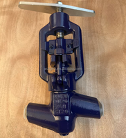 Vanne à soupape à haute pression en acier forgé durable DN10 DN20 DN25, type à souder bout à bout pour système de vapeur de centrale thermique