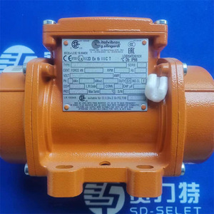 Motor Industrial Trifásico a Prueba de Explosiones Italvibras MVSI 10/6600-S02 - Product Image 2