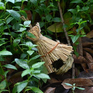 Nid d'oiseau en paille fait main, taille moyenne, décoration de jardin pour oiseaux, ornement extérieur - Product Image 4