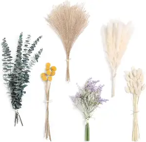 6 Kinds Natural Dried Pampas Eucalyptus Rabbit Tail Grass DIY Bridal Artificial Bouquets Home Decor Wedding Floral Arrangement