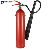 Incinérateur de feu électrique, vente en gros, Co2, 2Kg 5Kg