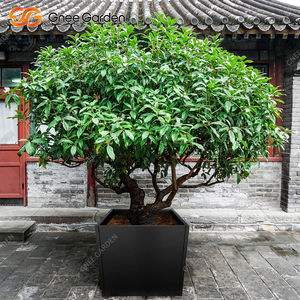 Jardinière carrée en fibre de verre noire de 24 pouces, personnalisable, jardin, maison, extérieur, intérieur, style américain, utilisation hôtelière, Gnee GN-PR-084-RTS - Product Image 6