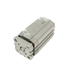 أسطوانة ADVUL-40-60-<span class=keywords><strong>P</strong></span>-A - Product Image 1