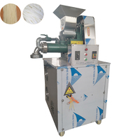 Machine à pétrir la pâte sous vide, machine à nouilles de riz, machine à extruder les vermicelles