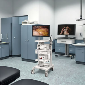 Sistem Kamera Endoskopi Mindray Model HD3 Baru yang Dapat Digunakan Kembali untuk Penggunaan Veteriner pada Anjing - Product Image 1