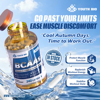 Cápsulas de BCAA 1000mg con Leucina, Isoleucina y Valina para el Apoyo al Entrenamiento de los Amantes del Fitness, Envío Inmediato, 120 Dosis