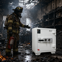 Caja Fuerte de Seguridad Resistente al Fuego, con Doble Cerradura, de Acero, Antirrobo, para Almacenamiento Seguro en el Hogar, Oficina, Fábrica o Taller