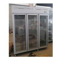 Congélateur vertical à température unique Flishel Restaurant WD-1.6L6 avec compresseur Aspera, 3 portes vitrées, acier inoxydable 304/201, 1600L