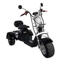 Satın almak | City_coco 2000w 3 tekerlekli elektrikli Scooter 60v Adult pil elektrikli motosiklet Scooter kıyıcı elektrikli üç tekerlekli bisiklet yetişkin için