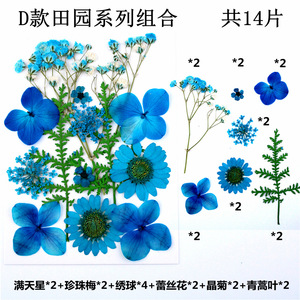 A-YH010 Natural <strong>Flower</strong> <strong>Press</strong> Baby's Breath Pansy Hydrangea Daisy Delphinium Florals Dried Pressed <strong>Flowers</strong> for Resin Art - Product Image 6