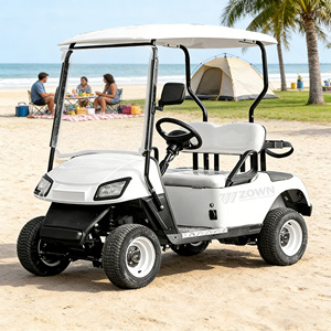 Voiture de golf électrique 2 places à bas prix, batterie lithium 48V avec contrôleur et certification CE, design créatif - Product Image 1