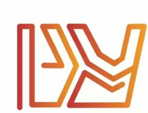 Cangzhou Danyi Auto Parts Co., Ltd. logo