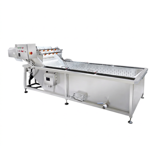 Machine de nettoyage de polissage de lavage de fruits de figue de barbarie Machine de lavage pour les fruits et les noix Machine de lavage et d'aspiration de légumes - Product Image 1