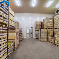 Grand entrepôt frigorifique sur mesure, chambre froide industrielle pour projet de réfrigération de viande, fruits et légumes