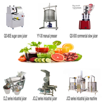 Industriële Fruit Oranje Juicer Gember Apple Mango Citroen Ananas Cashew Sapcentrifuge Machine