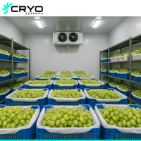 Chambre Froide à Atmosphère Contrôlée (AC) pour Fruits et Légumes : Pomme, Poire, Baie, Raisin, Kiwi, Cerise