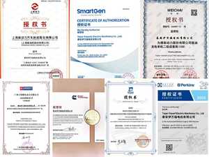 Generador Diésel Original de Marca Británica, Silencioso, de 20 kVA y 16 kW, Equipado con Motor Perkins. - Product Image 6