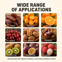 Machine de tri automatique des fruits : oignon, mangoustan, myrtille, avocat, datte, tomate – pour usine de transformation de fruits