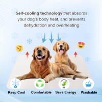 Tapis rafraîchissant pour chien, lavable, pliable, facile à ranger, en matériau sûr Eco POE PE