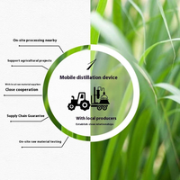 Huile Essentielle de Palmarosa (Cymbopogon Martinii) de Qualité Thérapeutique en Gros (OEM/ODM) pour l'Équilibre du Sébum, les Soins Anti-Acné, le Massage et l'Arôme Relaxant