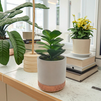 Fausses plantes succulentes d'extérieur résistantes aux UV, plantes de cactus artificielles dans des pots de ciment, décoration d'ornements de jardin tous temps