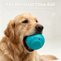 Balle à facettes en TPR YMH, deux tailles, qui couine lorsqu'on la secoue, rebondissante, jouet à mâcher pour chien, pour l'entraînement des molaires et le jeu interactif humain-animal.