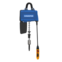 CE ISO approuvé D2C025 Mini palan électrique 250kg Servo chaîne pour équipement industriel 220V avec poignée E3