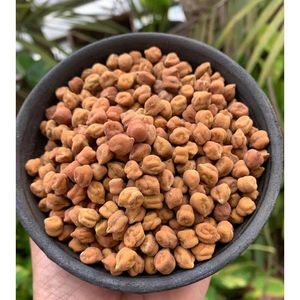 Graines de Cassia Biologiques Naturelles Brunes en Bol de Verre pour Cuisine et Broyage à Base de Plantes - Product Image 2