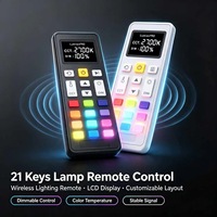 Control Remoto Inalámbrico para Lámparas de 21 Teclas, Controlador de Iluminación OEM ODM, Diseño y Desarrollo Personalizados