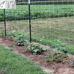 アメリカ製亜鉛メッキ鋼製Tバー型フェンス支柱（6フィート、7フィート）環境に優しく耐久性のある家庭用庭、牛、羊用有刺鉄線サポート - Product Image 1