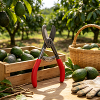 Avocado snoeigereedschap, avocado snijder, snoeischaar, fruitplukgereedschap, tuinschaar voor het snoeien en plukken van boomgaarden.
