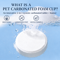 Tablet Spa Karbonasi Label Pribadi untuk Anjing dan Kucing, Pembersih Mandi Mendalam, Perlengkapan Perawatan Hewan Peliharaan OEM Kustom