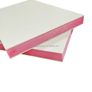 Panneaux sandwich isolants en mousse de <span class=keywords><strong>PS</strong></span> extrudée avec âme en plastique renforcé de fibres de verre (FRP) pour équipement d'incubation - Product Image 4