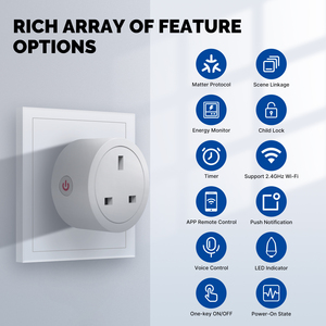 Tuya Wifi thông minh Anh ổ cắm 16A điều khiển từ xa cắm làm việc với Alexa Google trợ lý ứng dụng điều khiển - Product Image 6