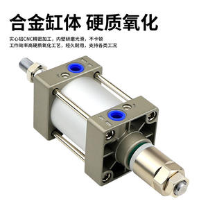 Cylindre standard réglable SCJ63/80/10025/75/100/125/150/200x300-50S pour l'agriculture et la construction avec piston magnétique - Product Image 3