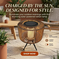 Lampe de bureau décorative en rotin à énergie solaire, tissée à la main, étanche et anti-poussière IP65, lampe de bureau solaire à LED sur pied