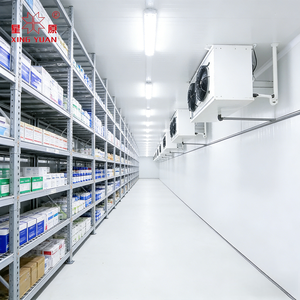 Chambre Froide Industrielle pour <span class=keywords><strong>Boucherie</strong></span> et Pêcherie, Stockage de Viande et de Poisson (50 Tonnes) - Vente Chaude Direct Usine - Product Image 2