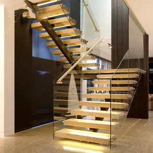 Escaliers flottants d'intérieur avec escalier métallique à balustrade en verre