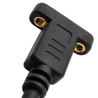 Prise femelle de montage sur panneau personnalisée Type C mâle usb 3.1 câble d'extension Type C avec vis