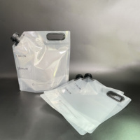 Pochettes personnalisées 2L 4L demi-gallon avec bec verseur pour boissons et eau, avec buse d'aspiration