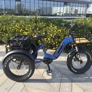 Tricycle électrique de 48V 500W pour le vélo adulte de cargaison <span class=keywords><strong>3</strong></span> roues avec le moteur d'entraînement moyen - Product Image 3