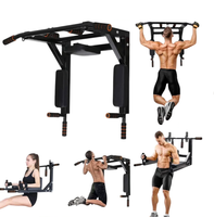 Vente chaude Gym Home Exercice Mentonnière Horizontal Montage Mural Barre de traction