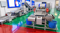 Centrale Voedselproductiekeuken Fruit en Groenten en Fruitverwerkingslijn Groenten Snijden Reinigen Wassen Lijn