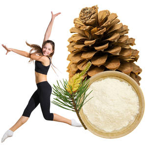 Venda quente Shell-quebrado Pinus Massoniana Pólen Em Pó Célula Orgânica Pinho Pólen Quebrado - Product Image 1