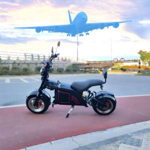 Conception originale Citycoco 1500W 20Ah Batterie 60V Fat Boy Scooter Citycoco Harleyment - Product Image 5